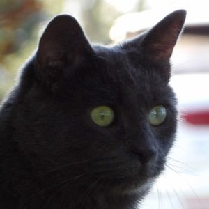 Meet your Posher, Eliza